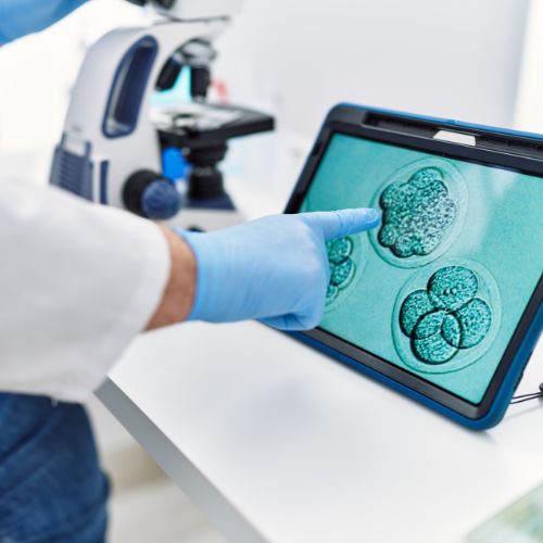 Assisted Reproductive Support